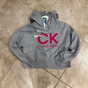 Calvin Klein Gray and Pink Logo Hoodie